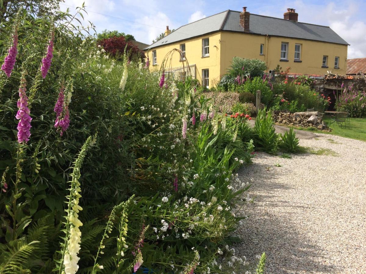 Frizenham Farmhouse Little Torrington Exterior photo